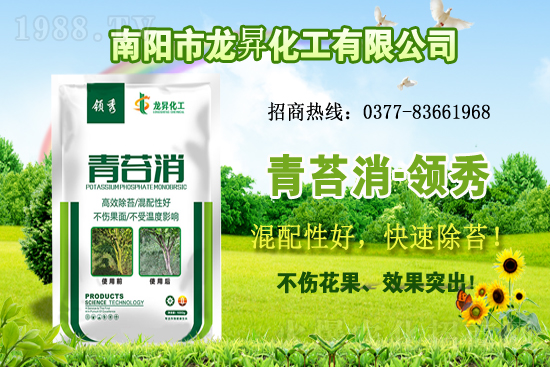 大豆供不應(yīng)求,價(jià)格持續(xù)上漲!各地大豆價(jià)格行情
