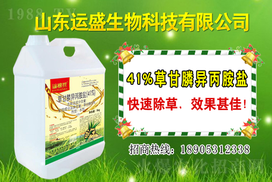 覆盆子生長習性有哪些?覆盆子種植技術!