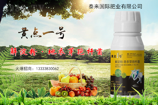 黃瓜葉片起“小黃點(diǎn)”是什么。糠乐畏桨赣心男?
