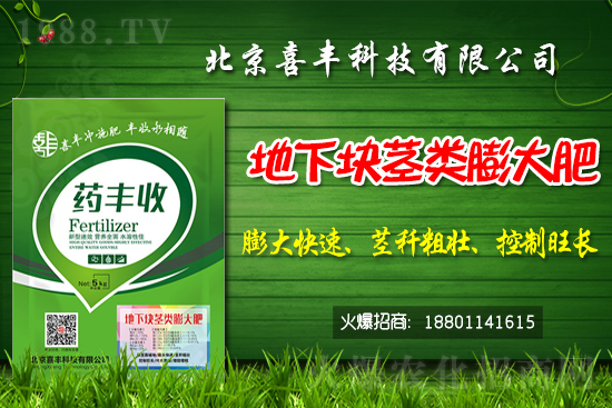 小麥價格還能繼續(xù)上漲嗎?2021春節(jié)前小麥價格預(yù)測!