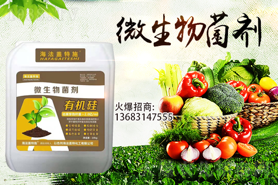 寒潮來(lái)襲!大棚持續(xù)低溫,作物生根要點(diǎn)!