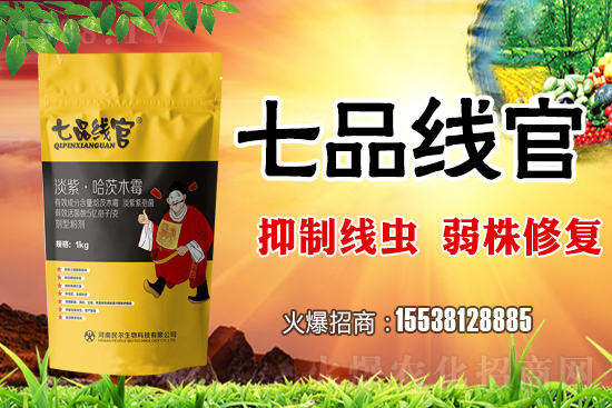 白菜根結線蟲危害極大!抓緊防治!白菜根結線蟲有效藥劑推薦!