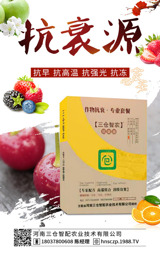 三月份適合種植什么蔬菜?三月份蔬菜種植注意事項!