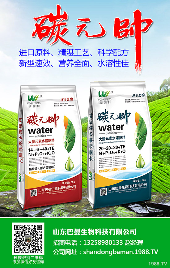 各地區(qū)一銨復(fù)工復(fù)產(chǎn)!最新一銨價格行情走勢預(yù)測: