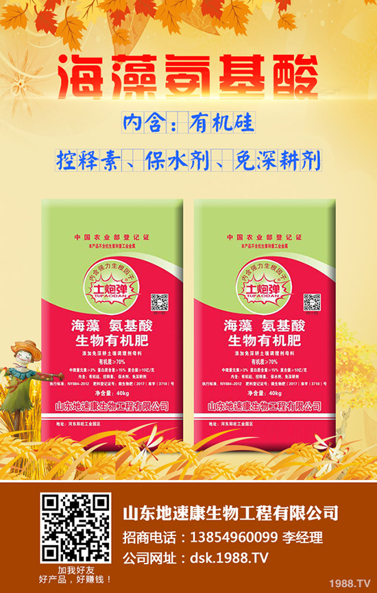 2020年那個牌子深松機值得入手?價格多少?性能怎樣?