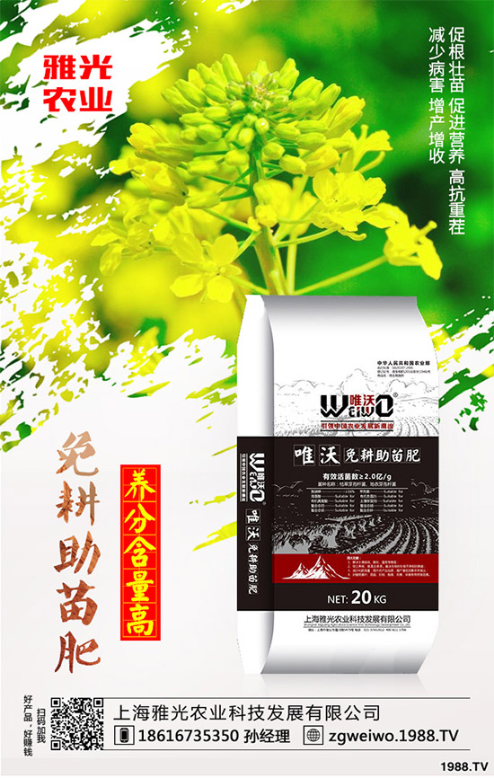 當(dāng)下正是春耕春種的關(guān)鍵時(shí)期,馬鈴薯種植也提上了日程,很多農(nóng)戶都忙了起來。但是很多農(nóng)戶都對(duì)馬鈴薯高產(chǎn)沒有信心,因?yàn)橥暧行┺r(nóng)戶種植馬鈴薯只長(zhǎng)秧不結(jié)薯看起來馬鈴薯枝蔓很旺盛,以為是個(gè)豐收年,可是等到收獲時(shí)幾乎沒有結(jié)薯,這到底是什么原因呢?該如何解決?