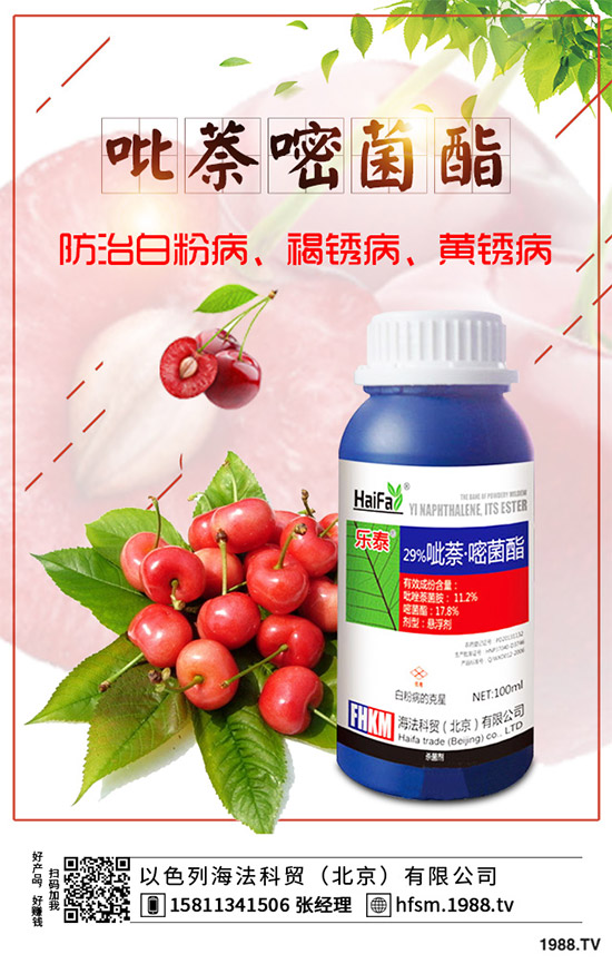 香菇多糖