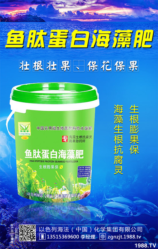 韭菜育苗需要移栽嗎?春季韭菜育苗移栽的注意事項
