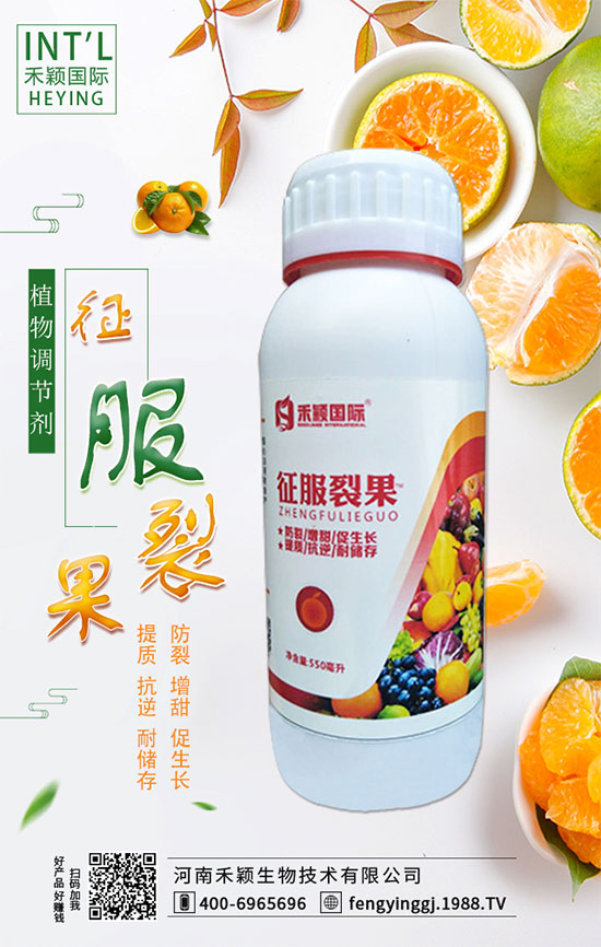 柑橘什么時(shí)間適宜栽種?柑橘肥水管理有哪些?
