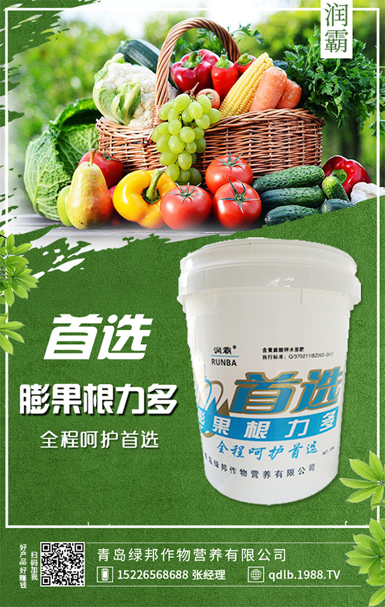 萬年青插桿及播種要點(diǎn),室內(nèi)萬年青種植注意事項(xiàng)!