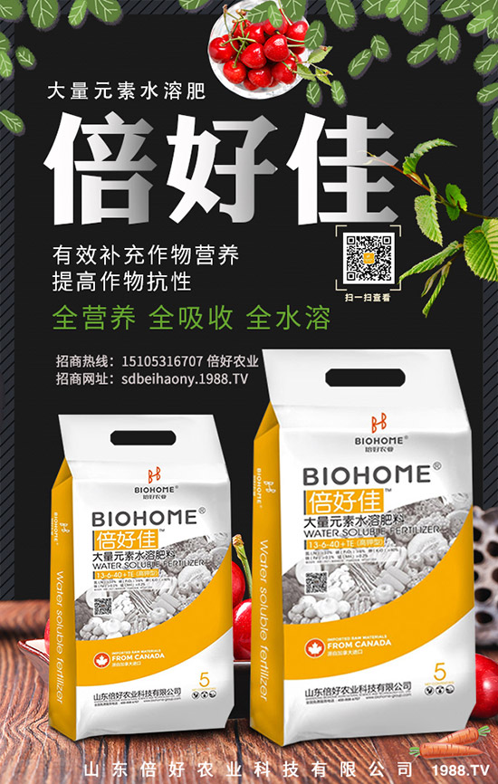 小麥未抽穗什么原因?qū)е碌?如何解決和補(bǔ)救?小麥抽穗期須注意事項(xiàng)及管理方法!