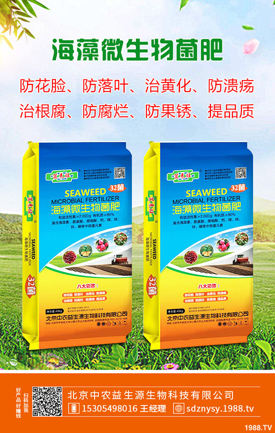 2020年4月4日近期磷銨行情暫穩(wěn)!最新一銨二銨價(jià)格早報(bào)!