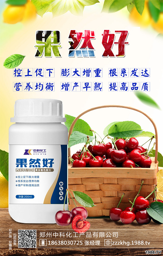 油麥菜有哪些營養(yǎng)價(jià)值?常吃油麥菜那些神奇效果?一起看看吧!