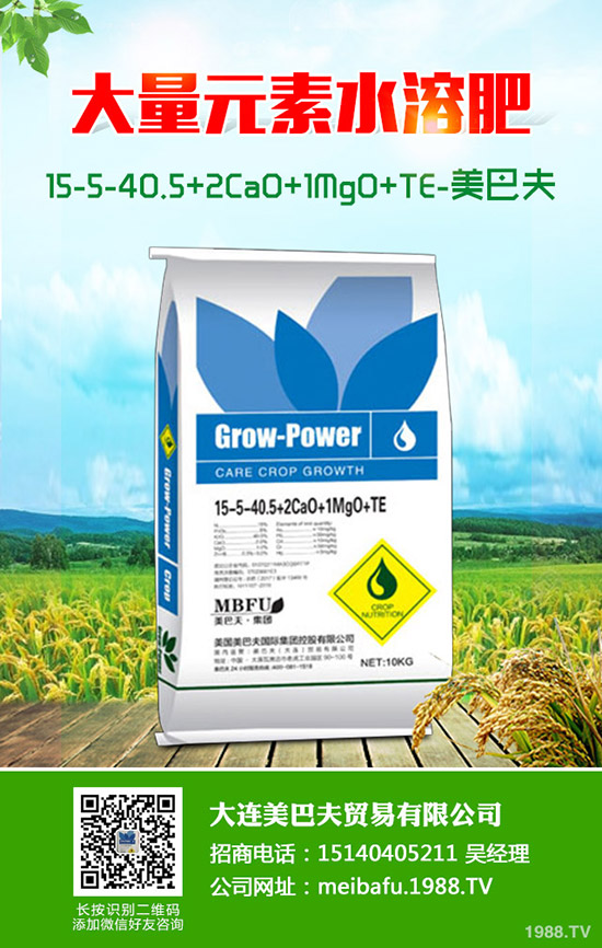 小麥灌漿期比較常發(fā)生病蟲(chóng)害有哪些?小麥灌漿期如何管理?注意事項(xiàng)了解么?