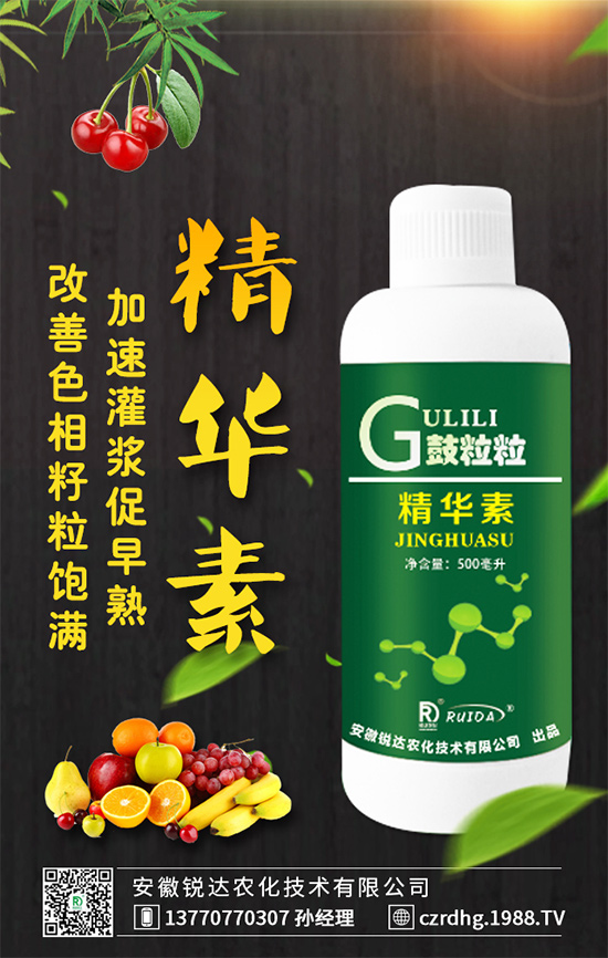 槐花有什么營養(yǎng)功效?吃槐花有什么好處?