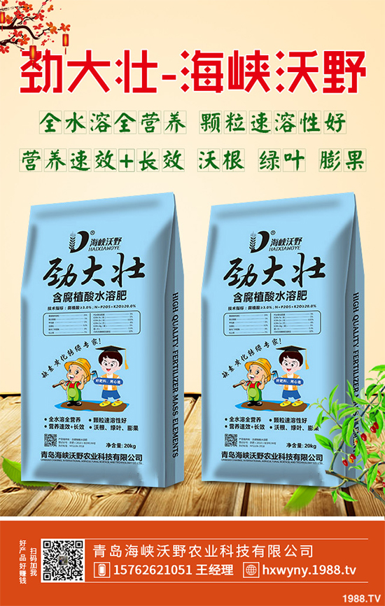 2020年黃精種植前景如何?如何種植才能獲得更高的經(jīng)濟收入?
