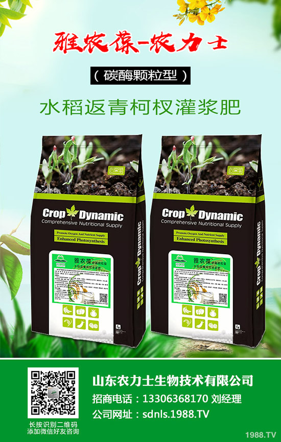 漲價(jià),漲價(jià)!尿素為啥又漲價(jià)?2020-4-9今日各地最新報(bào)價(jià)來啦!