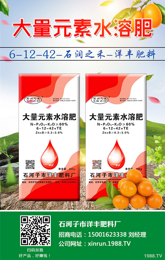 黃瓜嫁接好在哪里?有何優(yōu)勢(shì)?黃瓜嫁接的流程及注意事項(xiàng)