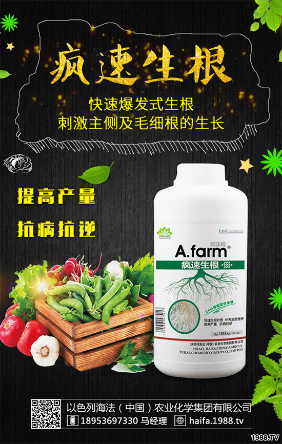 葡萄裂果是啥原因?該如何預防?葡萄裂果的原因和防治方法