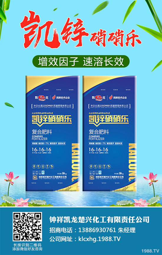 復合肥價格