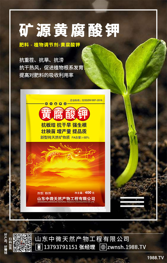 國內鉀肥價格行情快報