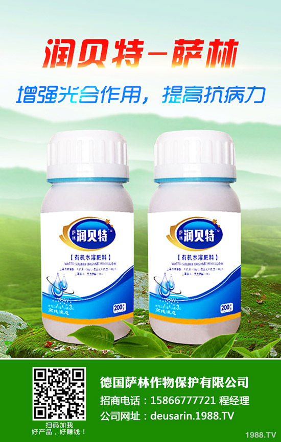 金桔樹怎么養(yǎng)?金桔樹的養(yǎng)殖方法和注意事項
