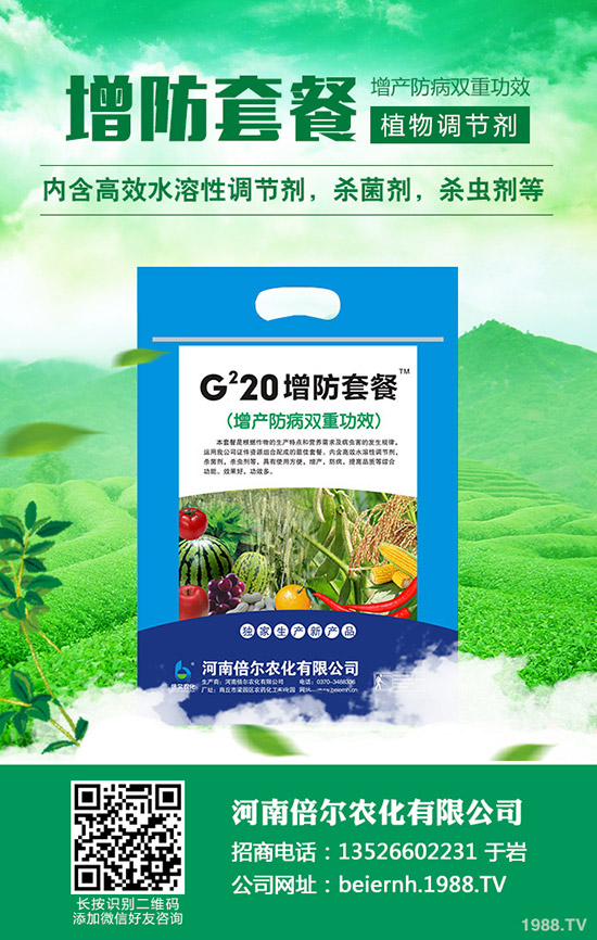 六月可以種植的蔬菜有哪些?六月種蔬菜管理要點(diǎn)!