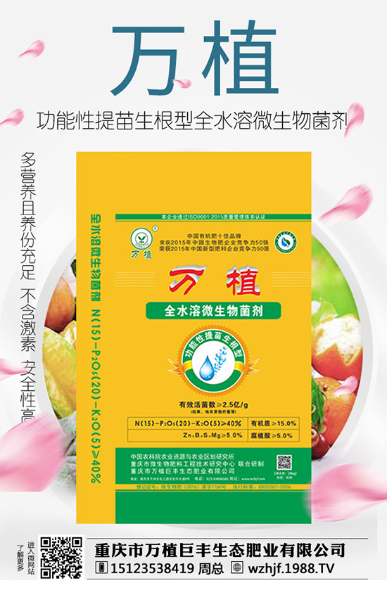 戰(zhàn)略合作再升級,萬植巨豐攜手1988.TV再創(chuàng)輝煌!