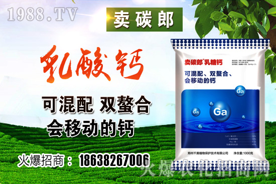 尿素價(jià)格