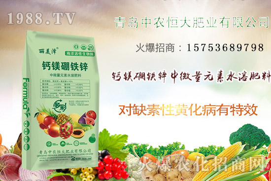 韭菜什么時(shí)候播種?韭菜市場(chǎng)前景如何?(附種植成本及利潤(rùn)分析)