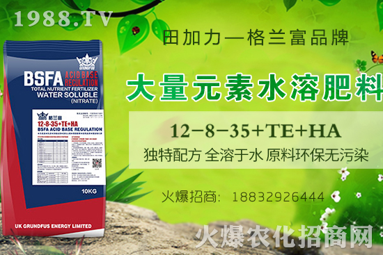 綠豆高產技巧