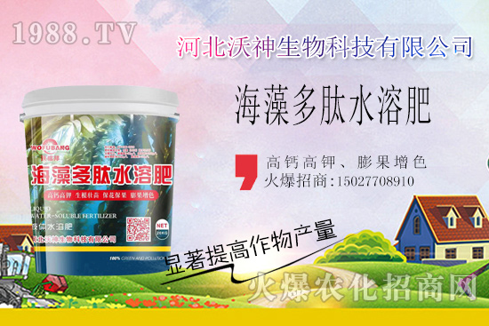 作物長勢好不好,根系管理很重要!“海藻多肽水溶肥”開啟作物生根時代!