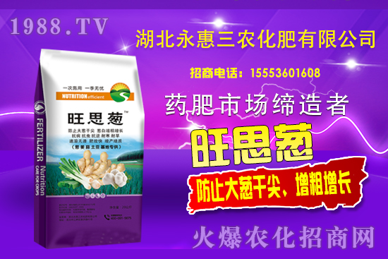 大蔥生長(zhǎng)高峰期!大蔥干尖是咋回事,大蔥干尖防治要點(diǎn)有哪些?
