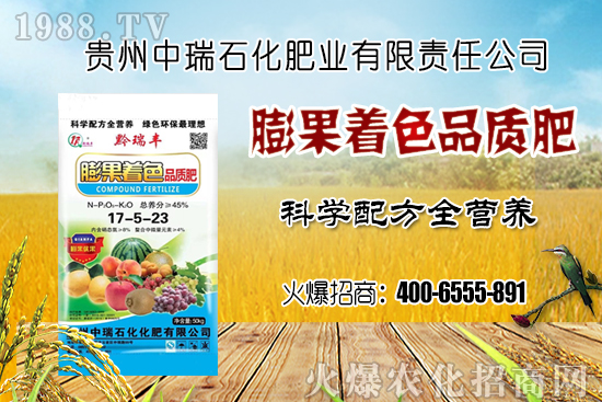 尿素價格