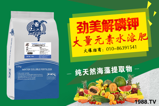 磷銨價格