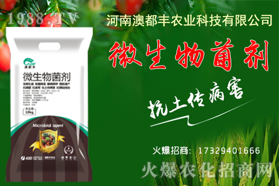 玉米穗期發(fā)育特點(diǎn)有哪些?玉米穗期田間管理要點(diǎn)!