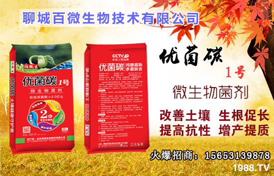 硼元素有什么作用?果樹(shù)缺硼有什么后果?什么時(shí)候補(bǔ)硼?