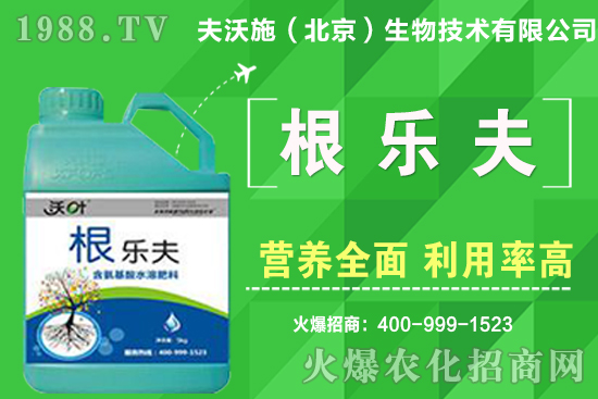 如何給蔬菜留種?蔬菜種子如何采收?良種標準有哪些?
