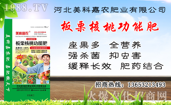 果樹秋季施基肥有多重要?果樹秋施基肥的6大通病!