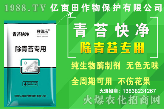 2020年種植哪些蔬菜更賺錢?熱門蔬菜種植項目推薦!