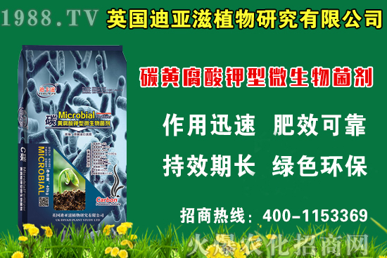 蛇瓜什么時候種比較好,蛇瓜栽培技術(shù)要點!