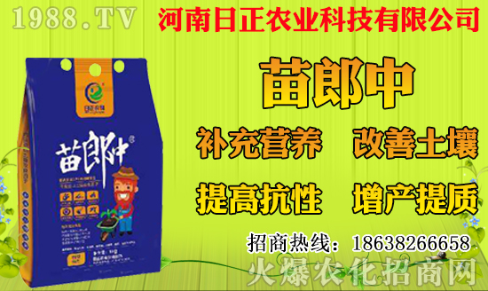 菠蘿種植多久結(jié)果?一年結(jié)幾次果?菠蘿種植技術(shù)要點!