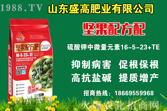 小麥價(jià)格還要上漲嗎?9月9日國(guó)內(nèi)小麥價(jià)格行情!