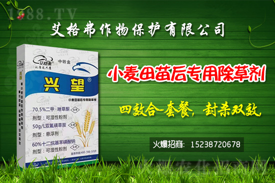 2021年1月12日除草劑原藥市場(chǎng)價(jià)格行情