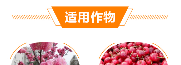 強力·生根王-天農康優(yōu)貝-天農化工_09