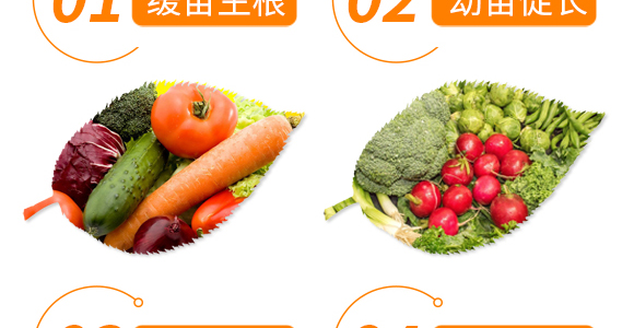 強力·生根王-天農康優(yōu)貝-天農化工_06