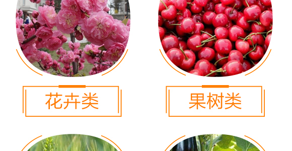 強力·生根王-天農康優(yōu)貝-天農化工_10
