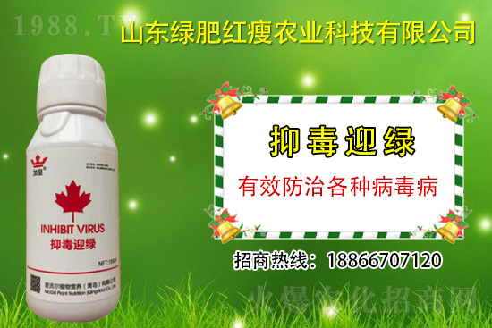 防治病毒病再也不用拔,“抑毒迎綠”專(zhuān)治病毒!
