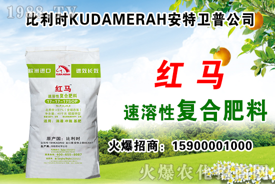 復(fù)合肥出廠報價,11月12日復(fù)合肥價格行情
