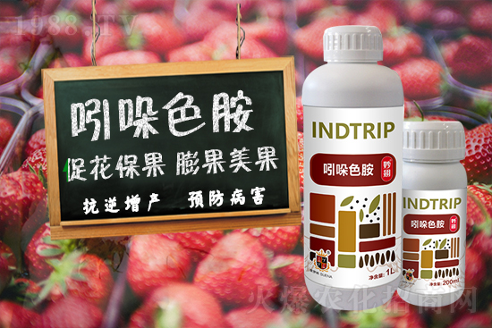 火爆農(nóng)化網(wǎng)喜迎新盟友,艾德拉火爆來(lái)襲!